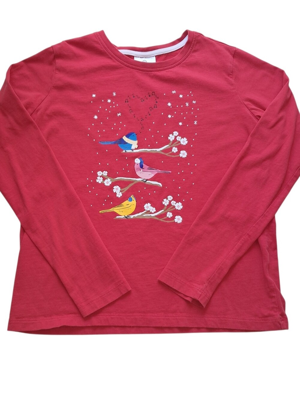 Hanna Andersson Long-Sleeve Tee with Colorful Bird Graphic Kids Size 160 (14-16)